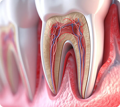 EsticaHub | Travel Adviser Health & Beauty